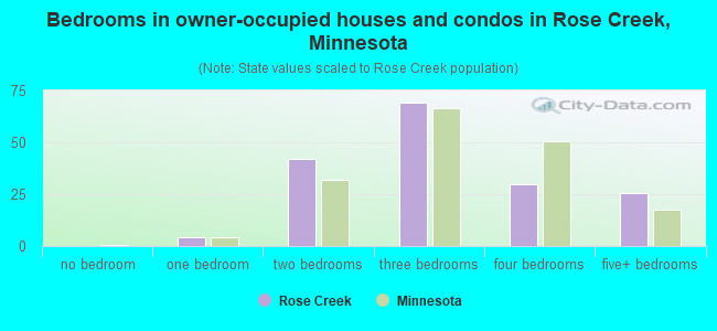Bedrooms in owner-occupied houses and condos in Rose Creek, Minnesota