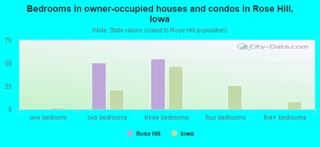 Bedrooms in owner-occupied houses and condos in Rose Hill, Iowa