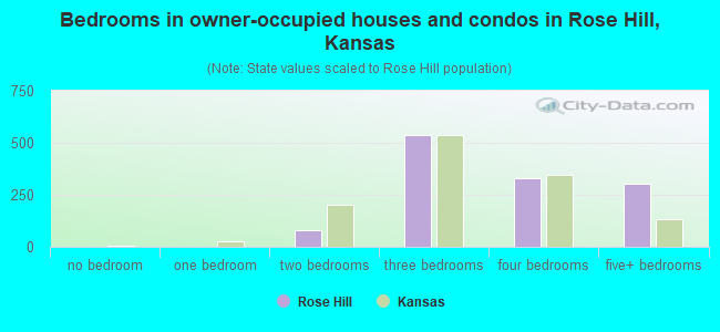 Bedrooms in owner-occupied houses and condos in Rose Hill, Kansas