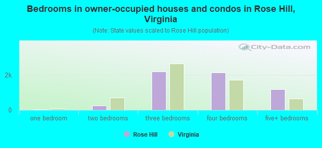Bedrooms in owner-occupied houses and condos in Rose Hill, Virginia