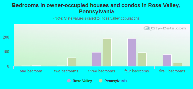 Bedrooms in owner-occupied houses and condos in Rose Valley, Pennsylvania