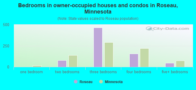 Bedrooms in owner-occupied houses and condos in Roseau, Minnesota