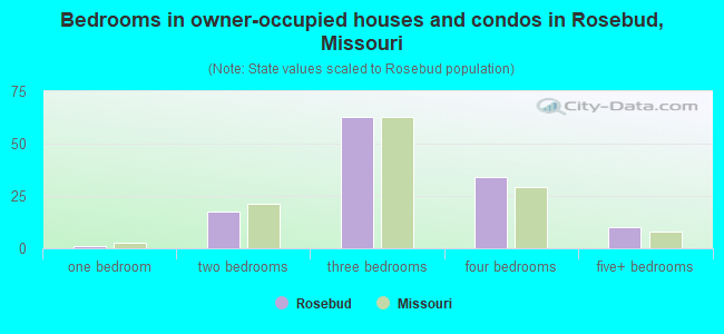 Bedrooms in owner-occupied houses and condos in Rosebud, Missouri