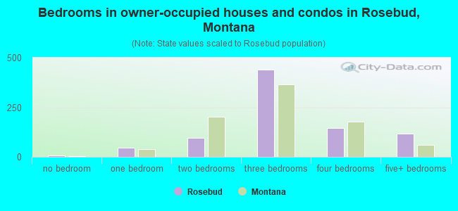 Bedrooms in owner-occupied houses and condos in Rosebud, Montana