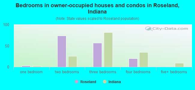 Bedrooms in owner-occupied houses and condos in Roseland, Indiana