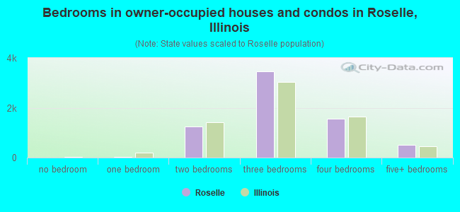 Bedrooms in owner-occupied houses and condos in Roselle, Illinois