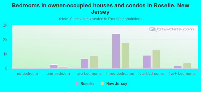 Bedrooms in owner-occupied houses and condos in Roselle, New Jersey