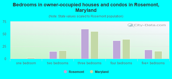 Bedrooms in owner-occupied houses and condos in Rosemont, Maryland