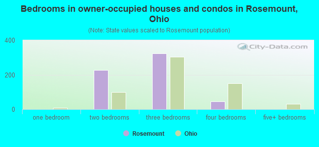 Bedrooms in owner-occupied houses and condos in Rosemount, Ohio