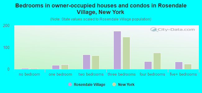 Bedrooms in owner-occupied houses and condos in Rosendale Village, New York