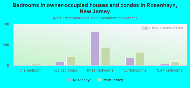 Bedrooms in owner-occupied houses and condos in Rosenhayn, New Jersey