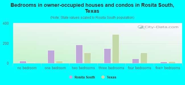 Bedrooms in owner-occupied houses and condos in Rosita South, Texas
