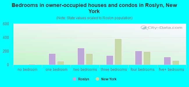 Bedrooms in owner-occupied houses and condos in Roslyn, New York