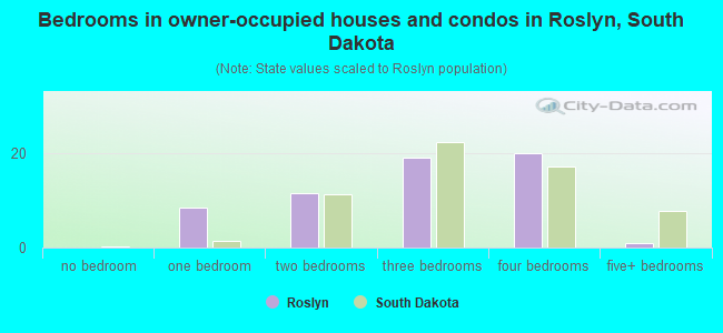 Bedrooms in owner-occupied houses and condos in Roslyn, South Dakota