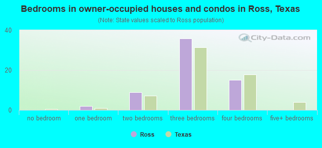 Bedrooms in owner-occupied houses and condos in Ross, Texas