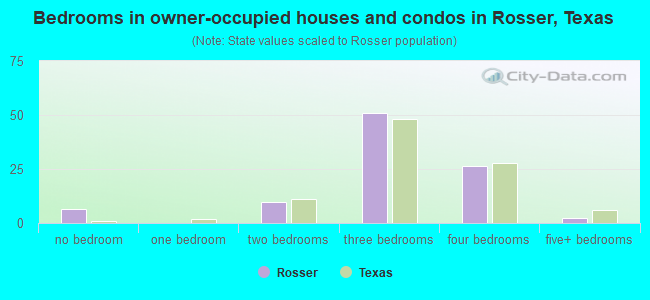 Bedrooms in owner-occupied houses and condos in Rosser, Texas