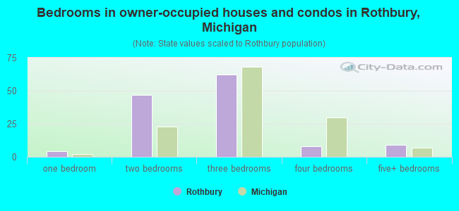 Bedrooms in owner-occupied houses and condos in Rothbury, Michigan