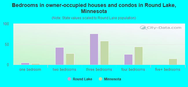Bedrooms in owner-occupied houses and condos in Round Lake, Minnesota