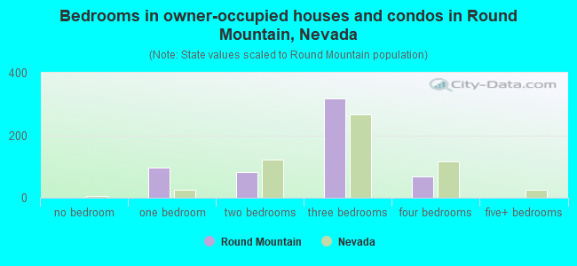 Bedrooms in owner-occupied houses and condos in Round Mountain, Nevada