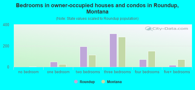 Bedrooms in owner-occupied houses and condos in Roundup, Montana