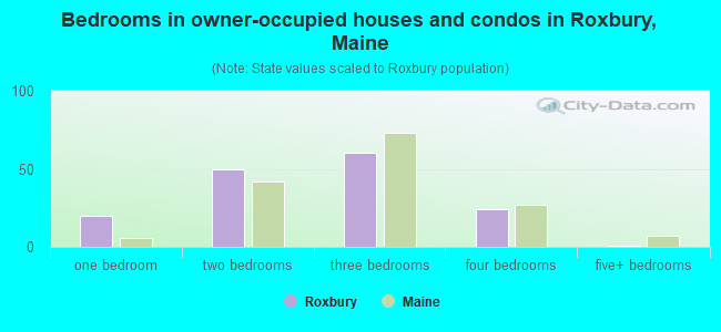 Bedrooms in owner-occupied houses and condos in Roxbury, Maine