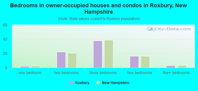 Bedrooms in owner-occupied houses and condos in Roxbury, New Hampshire