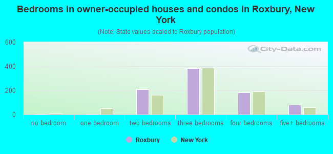 Bedrooms in owner-occupied houses and condos in Roxbury, New York