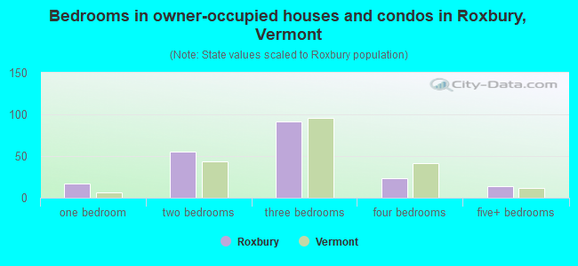 Bedrooms in owner-occupied houses and condos in Roxbury, Vermont