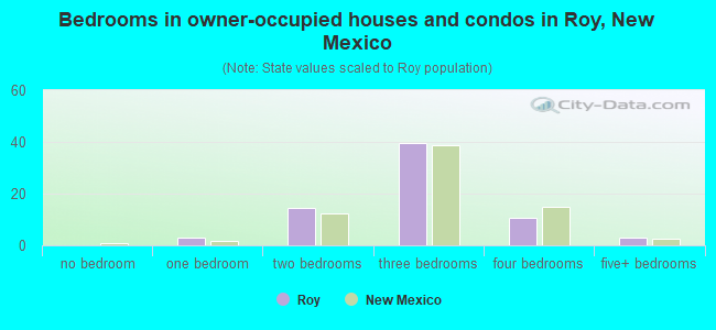 Bedrooms in owner-occupied houses and condos in Roy, New Mexico