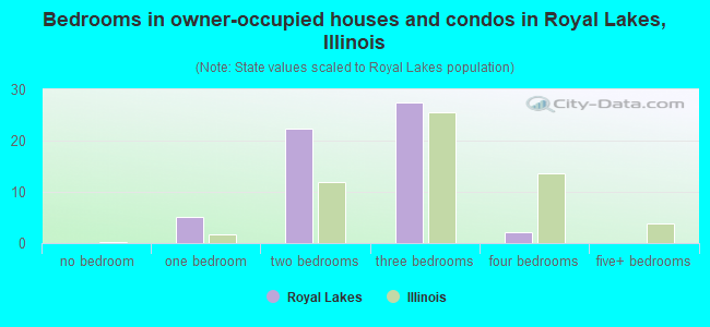 Bedrooms in owner-occupied houses and condos in Royal Lakes, Illinois