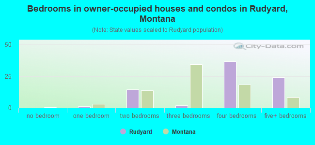 Bedrooms in owner-occupied houses and condos in Rudyard, Montana