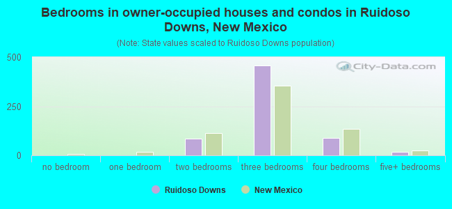 Bedrooms in owner-occupied houses and condos in Ruidoso Downs, New Mexico
