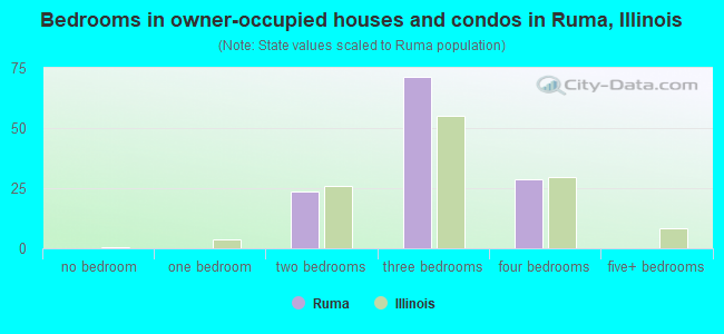 Bedrooms in owner-occupied houses and condos in Ruma, Illinois
