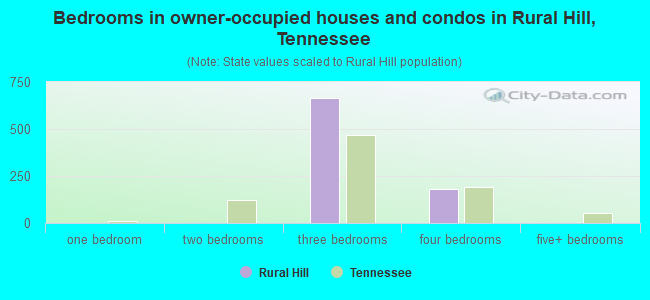 Bedrooms in owner-occupied houses and condos in Rural Hill, Tennessee