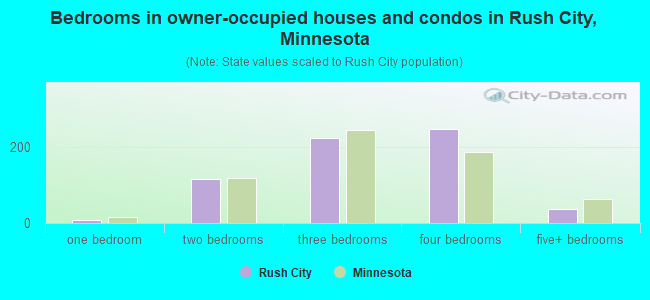 Bedrooms in owner-occupied houses and condos in Rush City, Minnesota