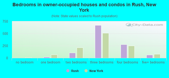 Bedrooms in owner-occupied houses and condos in Rush, New York