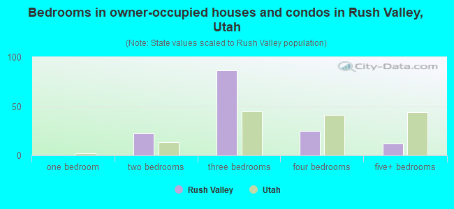 Bedrooms in owner-occupied houses and condos in Rush Valley, Utah