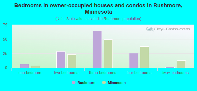 Bedrooms in owner-occupied houses and condos in Rushmore, Minnesota