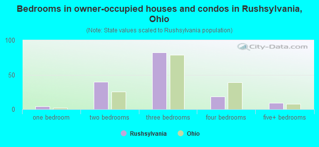 Bedrooms in owner-occupied houses and condos in Rushsylvania, Ohio