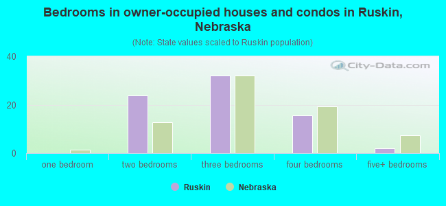 Bedrooms in owner-occupied houses and condos in Ruskin, Nebraska