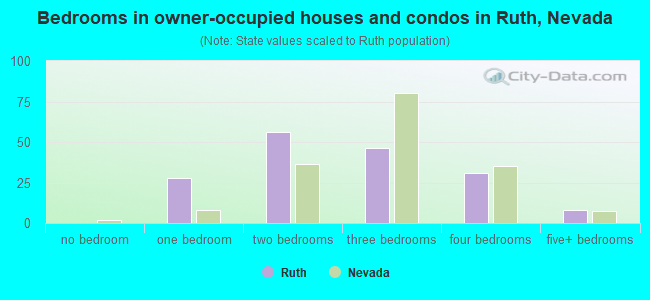 Bedrooms in owner-occupied houses and condos in Ruth, Nevada