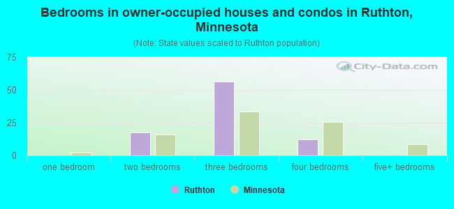 Bedrooms in owner-occupied houses and condos in Ruthton, Minnesota