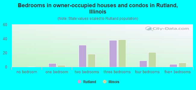 Bedrooms in owner-occupied houses and condos in Rutland, Illinois