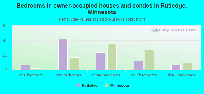 Bedrooms in owner-occupied houses and condos in Rutledge, Minnesota