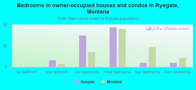 Bedrooms in owner-occupied houses and condos in Ryegate, Montana