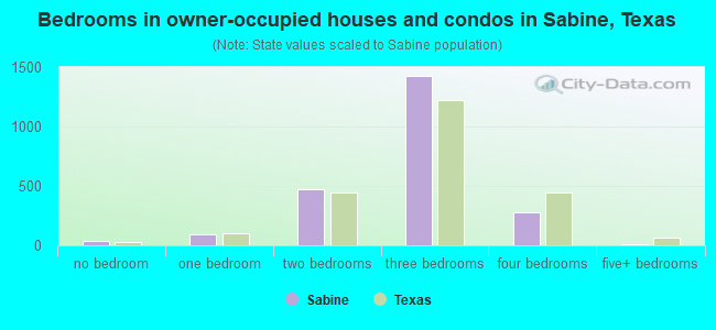 Bedrooms in owner-occupied houses and condos in Sabine, Texas
