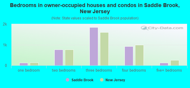 Bedrooms in owner-occupied houses and condos in Saddle Brook, New Jersey