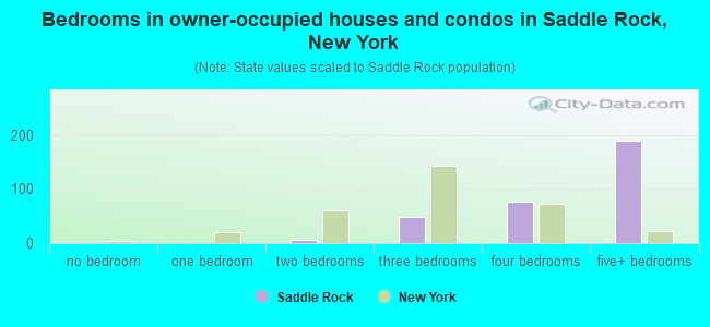 Bedrooms in owner-occupied houses and condos in Saddle Rock, New York