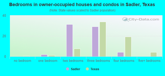 Bedrooms in owner-occupied houses and condos in Sadler, Texas