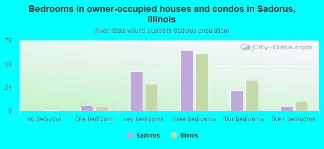 Bedrooms in owner-occupied houses and condos in Sadorus, Illinois